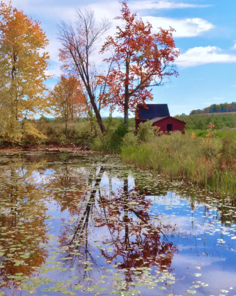 Fall landscape in New Hampshire